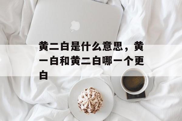 黄二白是什么意思，黄一白和黄二白哪一个更白-第1张图片-