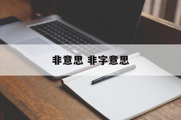 非意思 非字意思-第1张图片-