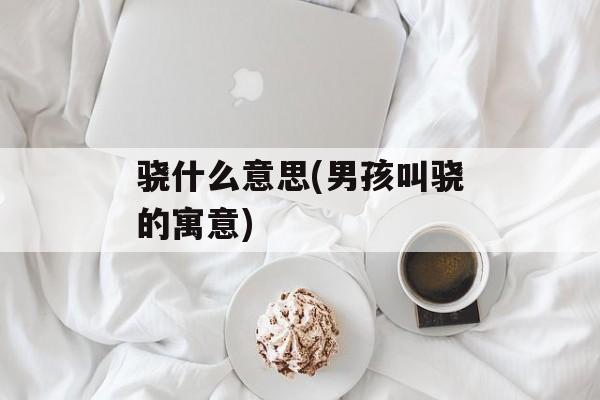 骁什么意思(男孩叫骁的寓意)-第1张图片-
