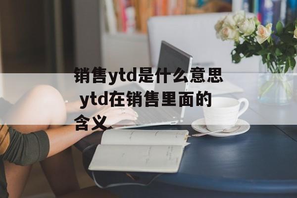 销售ytd是什么意思 ytd在销售里面的含义-第1张图片-