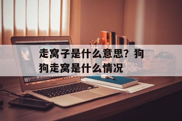 走窝子是什么意思？狗狗走窝是什么情况-第1张图片-