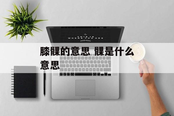膝髁的意思 髁是什么意思-第1张图片-