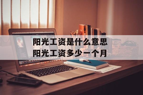 阳光工资是什么意思 阳光工资多少一个月-第1张图片-