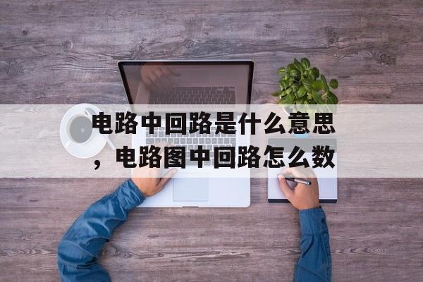 电路中回路是什么意思，电路图中回路怎么数-第1张图片-