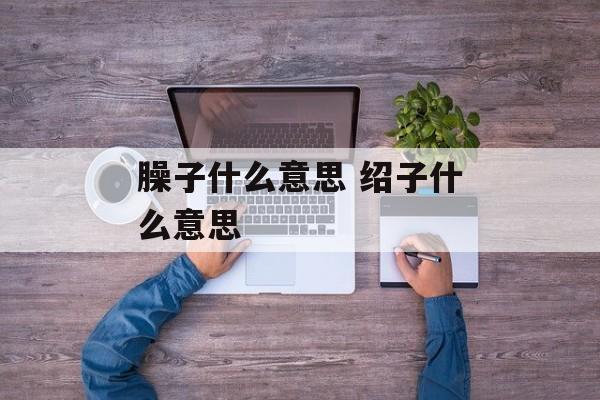 臊子什么意思 绍子什么意思-第1张图片-