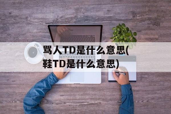 骂人TD是什么意思(鞋TD是什么意思)-第1张图片-