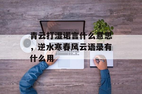 青云打湿诺言什么意思，逆水寒春风云语录有什么用-第1张图片-
