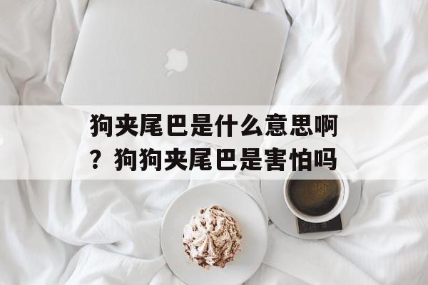 狗夹尾巴是什么意思啊？狗狗夹尾巴是害怕吗-第1张图片-