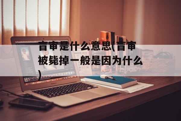 盲审是什么意思(盲审被毙掉一般是因为什么)-第1张图片-