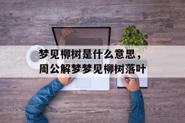 梦见柳树是什么意思，周公解梦梦见柳树落叶-第1张图片-