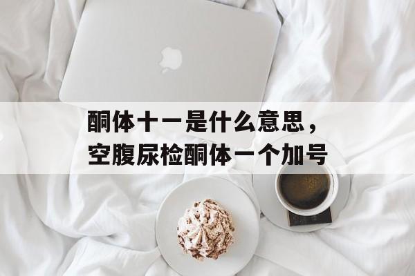 酮体十一是什么意思，空腹尿检酮体一个加号-第1张图片-