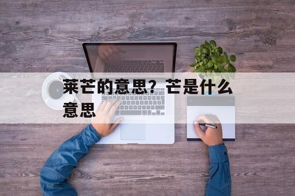 莱芒的意思？芒是什么意思-第1张图片-