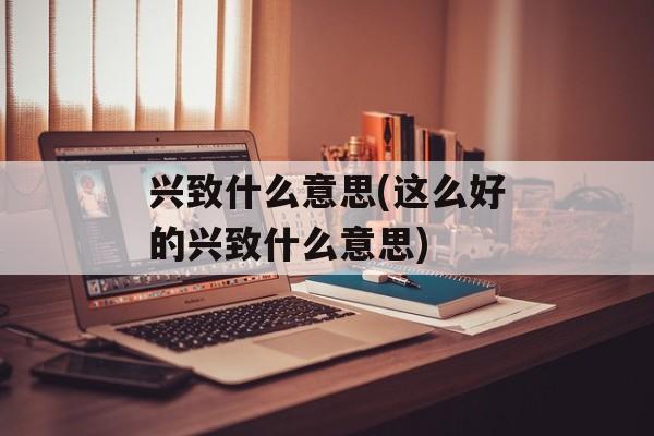兴致什么意思(这么好的兴致什么意思)-第1张图片-