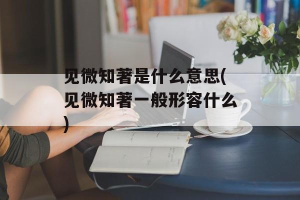 见微知著是什么意思(见微知著一般形容什么)-第1张图片-