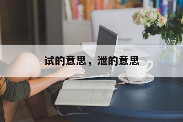 试的意思，泄的意思-第1张图片-