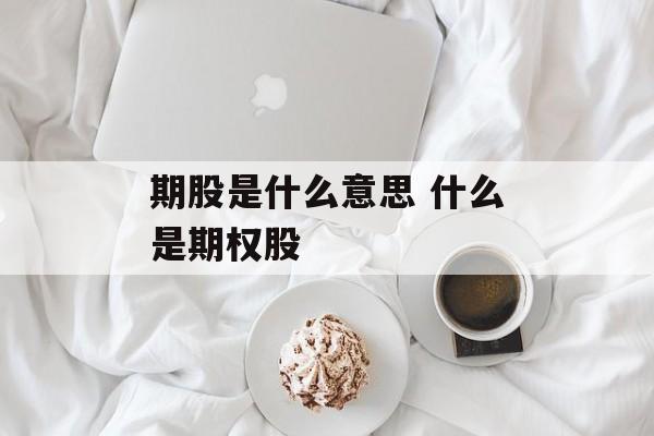期股是什么意思 什么是期权股-第1张图片-