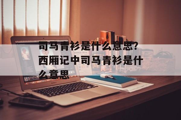 司马青衫是什么意思？西厢记中司马青衫是什么意思-第1张图片-