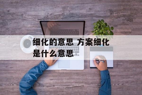 细化的意思 方案细化是什么意思-第1张图片-