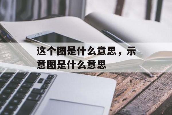 这个图是什么意思，示意图是什么意思-第1张图片-