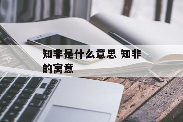 知非是什么意思 知非的寓意-第1张图片-