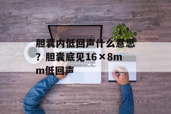 胆囊内低回声什么意思？胆囊底见16×8mm低回声-第1张图片-