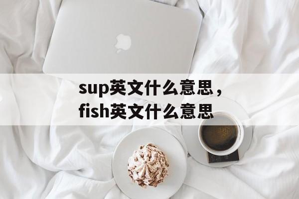 sup英文什么意思，fish英文什么意思-第1张图片-
