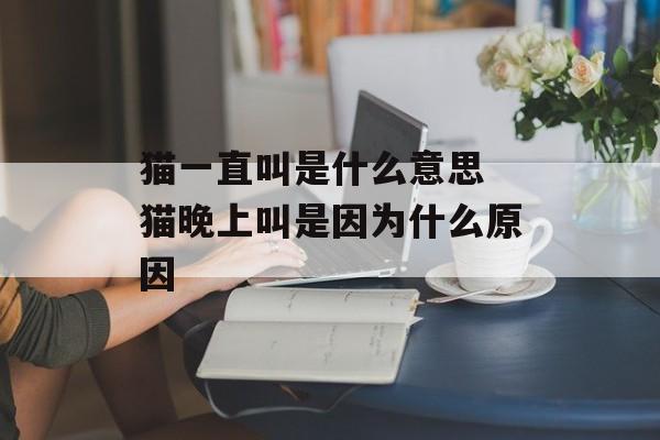 猫一直叫是什么意思 猫晚上叫是因为什么原因-第1张图片-