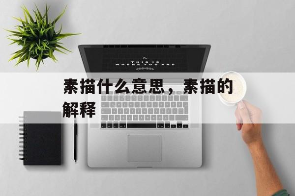 素描什么意思，素描的解释-第1张图片-