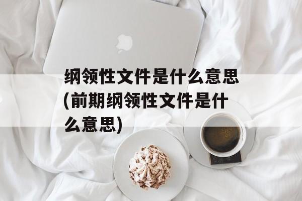 纲领性文件是什么意思(前期纲领性文件是什么意思)-第1张图片-
