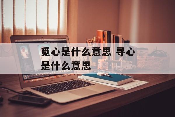 觅心是什么意思 寻心是什么意思-第1张图片-