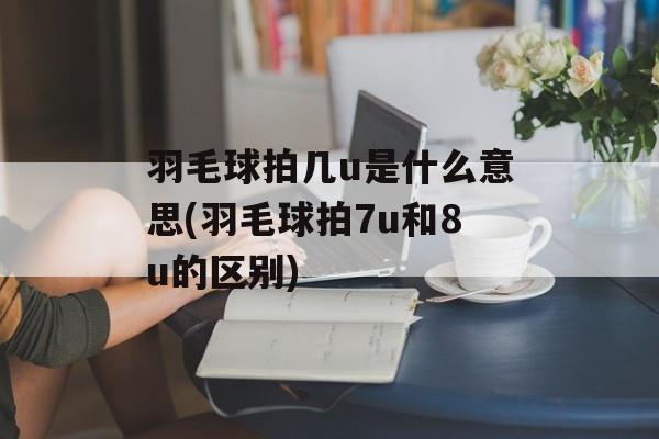 羽毛球拍几u是什么意思(羽毛球拍7u和8u的区别)-第1张图片-