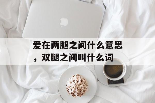 爱在两腿之间什么意思，双腿之间叫什么词-第1张图片-