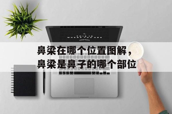 鼻梁在哪个位置图解，鼻梁是鼻子的哪个部位-第1张图片-