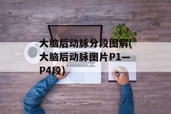 大脑后动脉分段图解(大脑后动脉图片P1—P4段)-第1张图片-