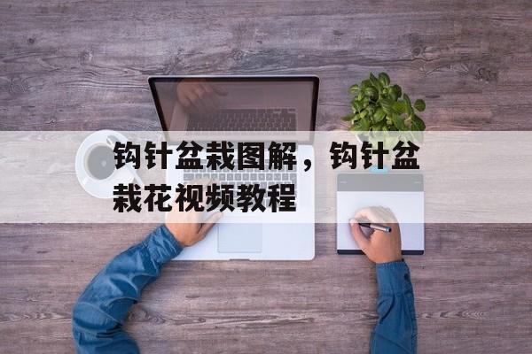 钩针盆栽图解，钩针盆栽花视频教程-第1张图片-