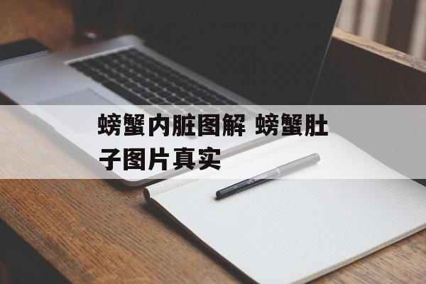 螃蟹内脏图解 螃蟹肚子图片真实-第1张图片-