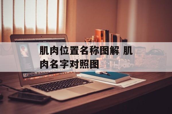 肌肉位置名称图解 肌肉名字对照图-第1张图片-