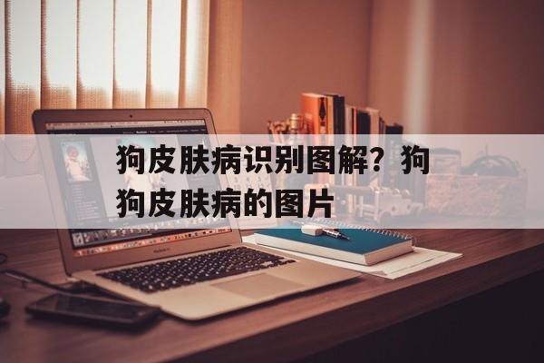 狗皮肤病识别图解？狗狗皮肤病的图片-第1张图片-
