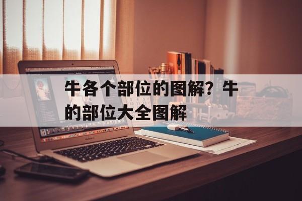 牛各个部位的图解？牛的部位大全图解-第1张图片-