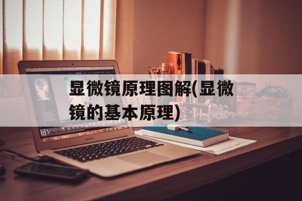 显微镜原理图解(显微镜的基本原理)-第1张图片-