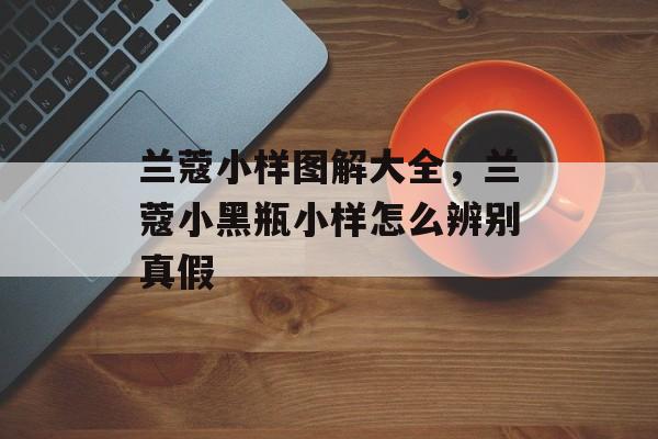 兰蔻小样图解大全，兰蔻小黑瓶小样怎么辨别真假-第1张图片-