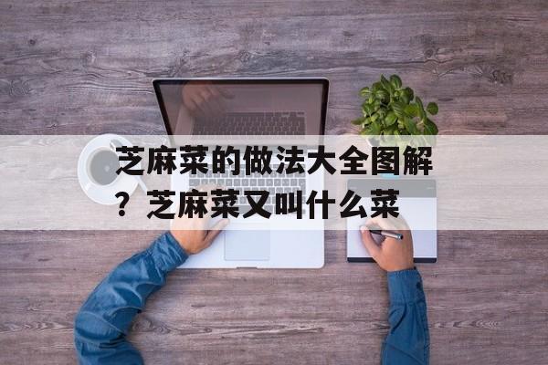 芝麻菜的做法大全图解？芝麻菜又叫什么菜-第1张图片-