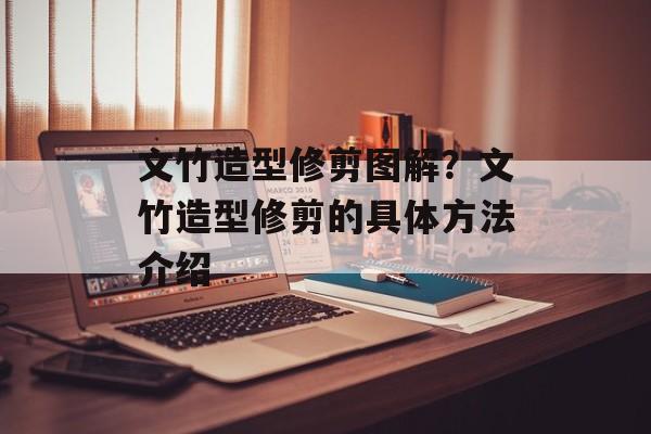 文竹造型修剪图解？文竹造型修剪的具体方法介绍-第1张图片-