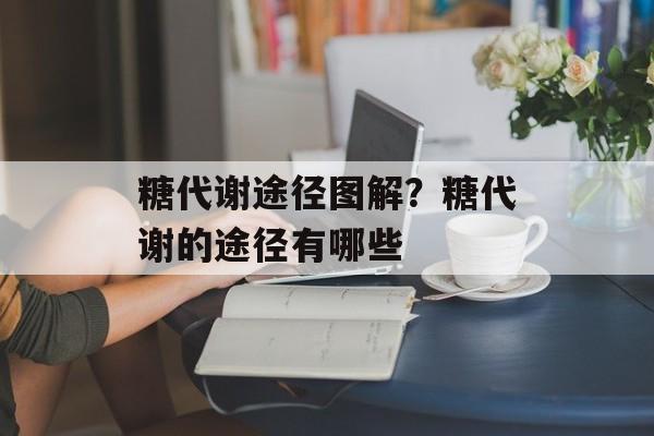 糖代谢途径图解？糖代谢的途径有哪些-第1张图片-
