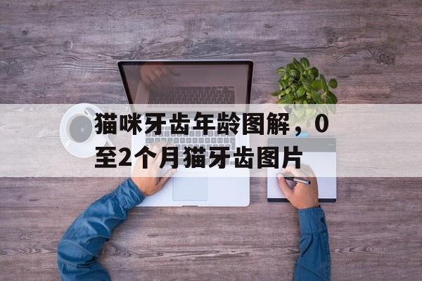 猫咪牙齿年龄图解，0至2个月猫牙齿图片-第1张图片-