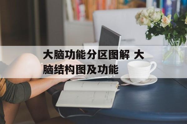 大脑功能分区图解 大脑结构图及功能-第1张图片-