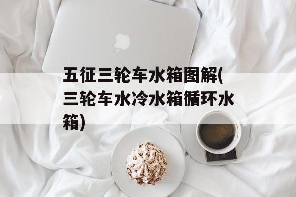 五征三轮车水箱图解(三轮车水冷水箱循环水箱)-第1张图片-