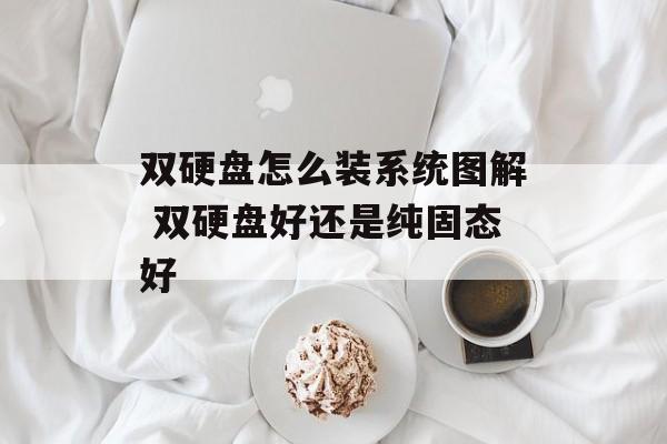 双硬盘怎么装系统图解 双硬盘好还是纯固态好-第1张图片-