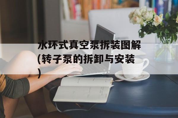 水环式真空泵拆装图解(转子泵的拆卸与安装)-第1张图片-