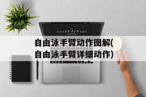 自由泳手臂动作图解(自由泳手臂详细动作)-第1张图片-